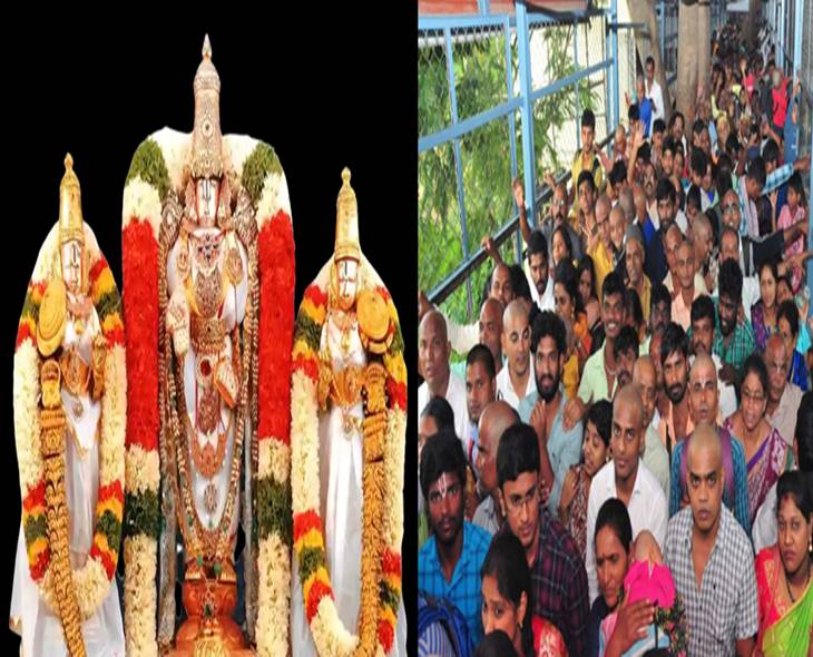 14-Hour Wait For Sarvadarshan At Tirumala: TTD