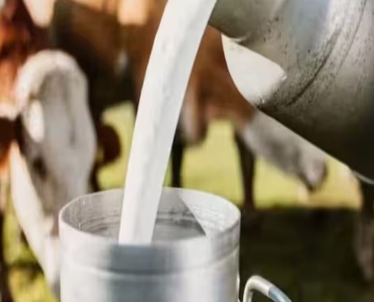 India’s Milk Output To Rise 5% In FY25