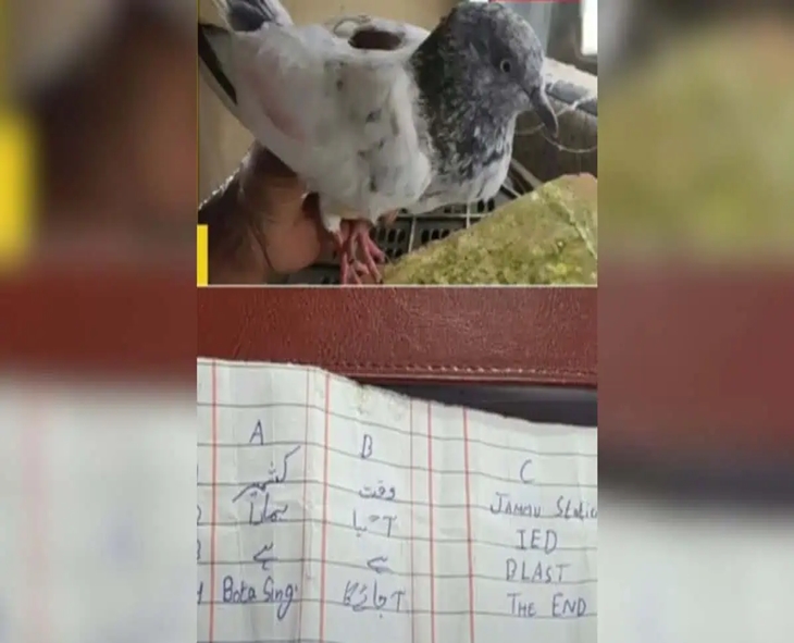 Jammu Station On High Alert After Pigeon Found With Bomg Threat Note