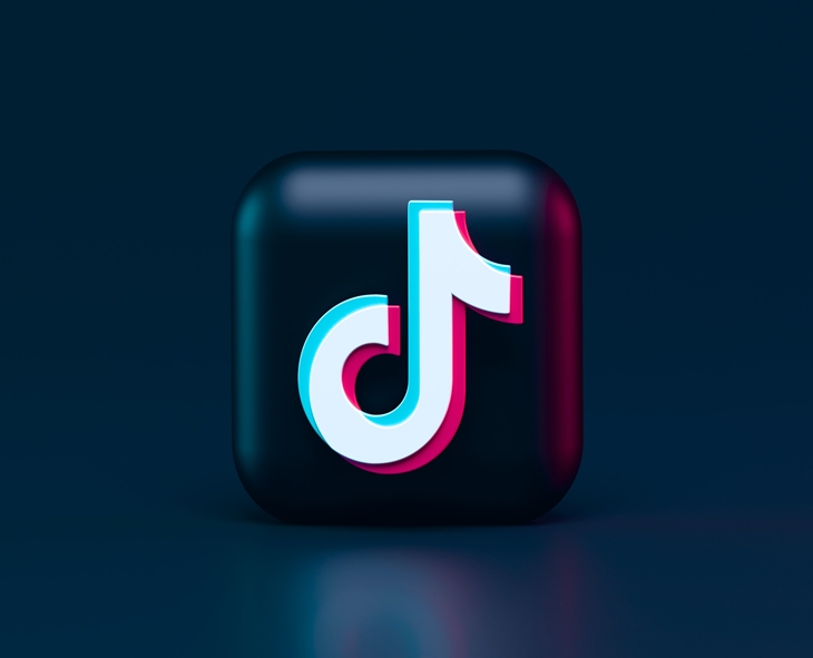 TikTok Partly Accessible Despite Government Ban