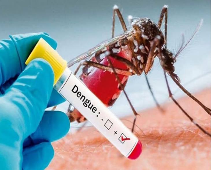 Surge In Dengue: Hyderabad Records 500+ Dengue Cases