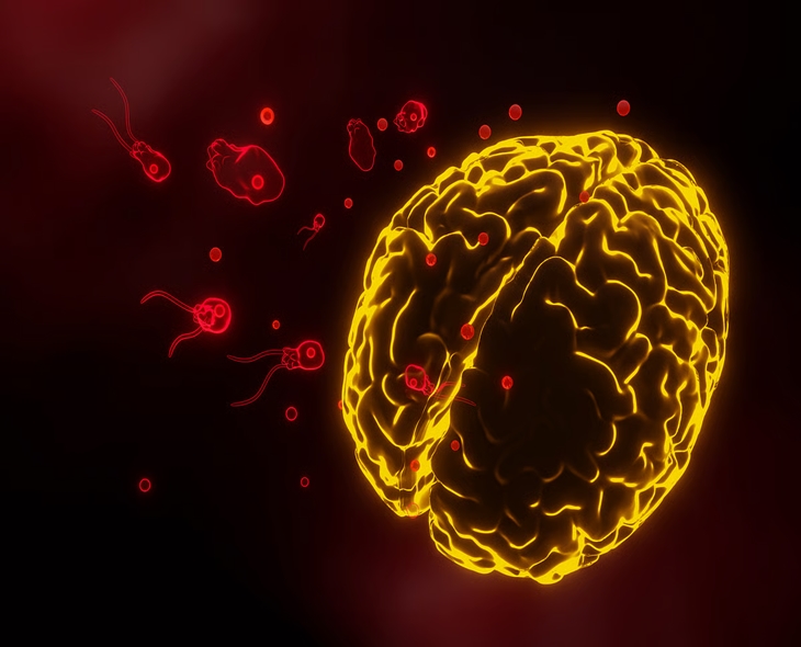Brain-Eating Amoeba: Kerala Confirms 3 Deaths In August