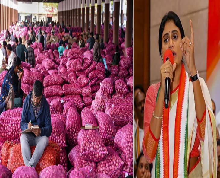 APCC Chief Sharmila To Visit Kurnool, Meet Onion Farmers