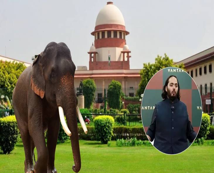 Supreme Court Clears Vantara In Elephant Relocation Case
