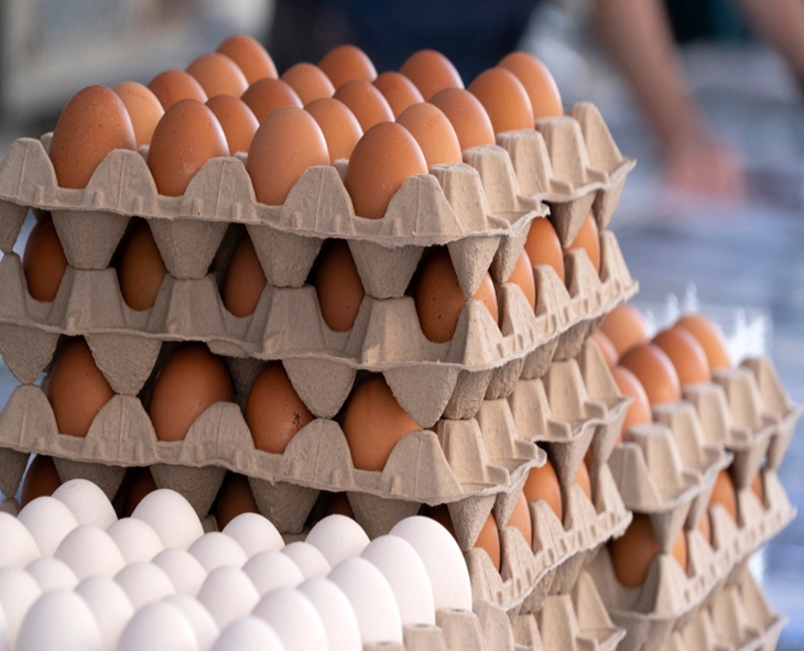 Egg Power: Lose Weight With This Nutritious Superfood