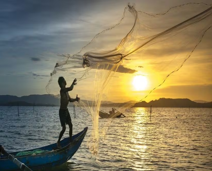 Sri Lanka Arrests 12 Indian Fishermen For Illegal Fishing