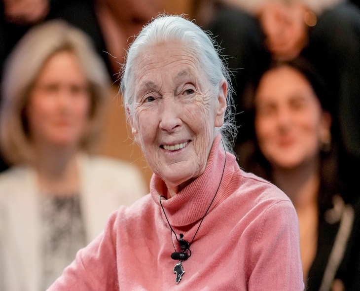 Renowned Conservationist Jane Goodall Passes Away