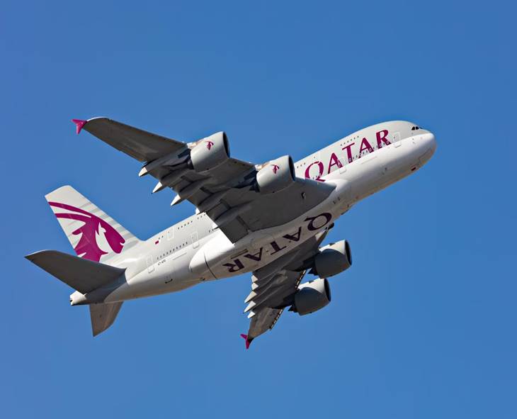 Qatar Airways Sued After Vegetarian Passenger Dies Mid-Flight