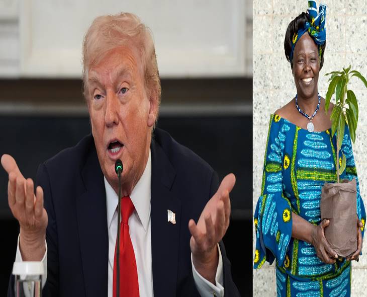 Trump Misses Nobel Peace Award As Maathai Gets Again