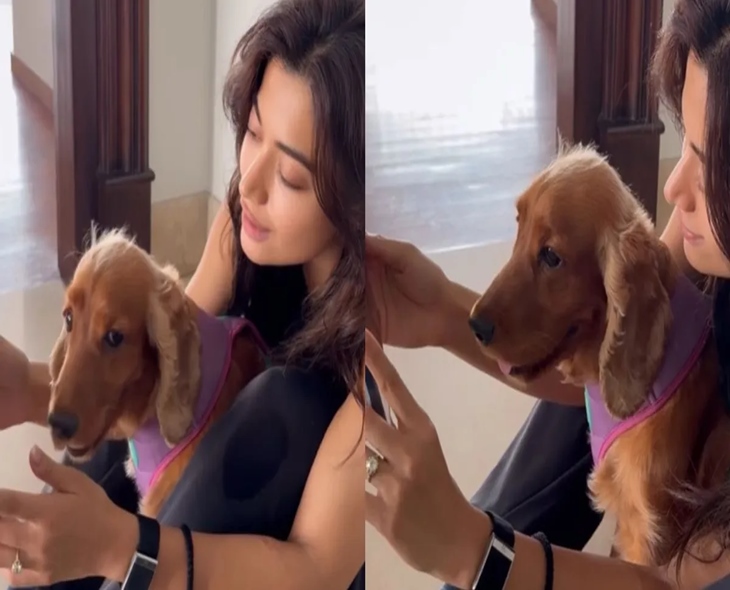 Rashmika Sparks Engagement Buzz With Diamond Ring