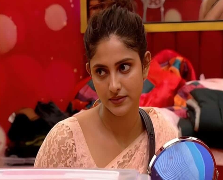 Ayesha Zeenath Shakes Up Bigg Boss Telugu 9 As Wildcard Entrant