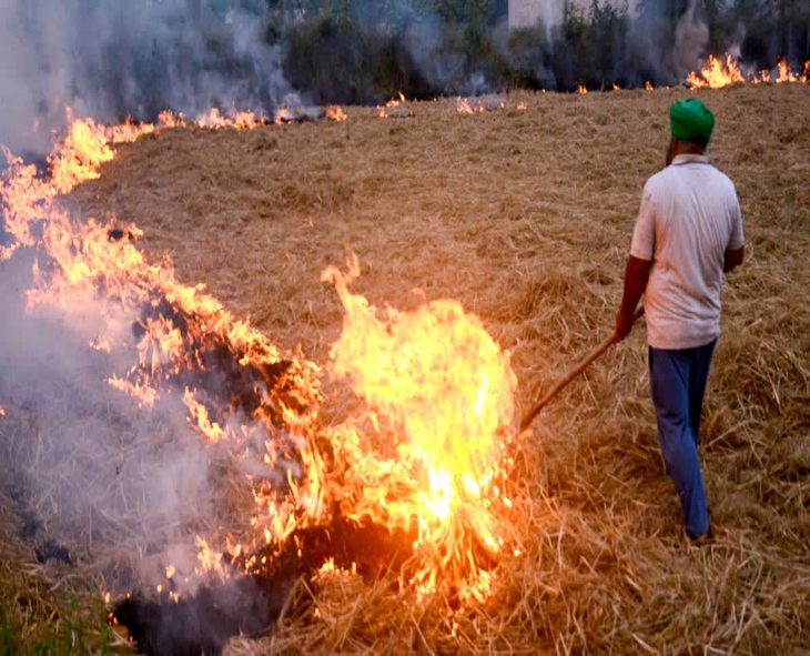 Punjab Records 308 Stubble Burning Cases As Delhi’s Air Quality Worsens