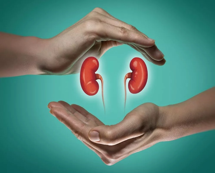 Telangana Leads India In Kidney Function Impairment