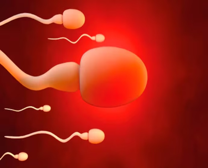 South Indian Men Show Stable Sperm Quality Amid Global Fertility Concerns