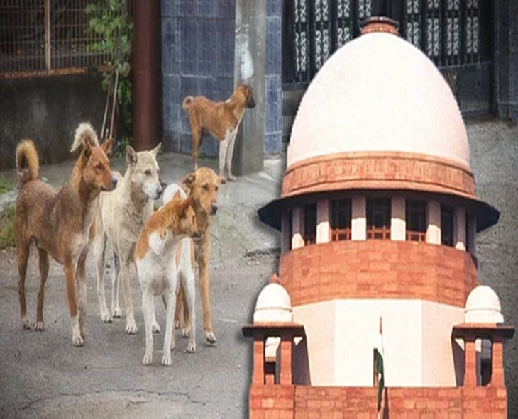 Supreme Court To Hear Suo Motu Case On Stray Dogs On Oct 27