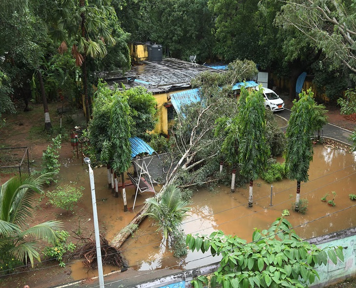 Cyclone Montha Causes Huge Losses To AP: CM Babu
