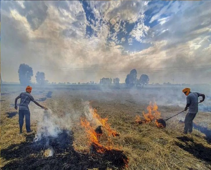 Fresh 202 Stubble Burning Cases Rise In Punjab