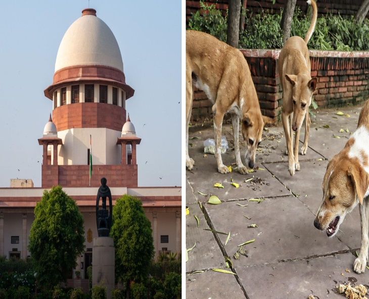 SC Orders Removal of Stray Dogs, Cattle From Public Places And Highways