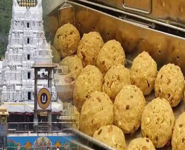 SIT Reveals Massive Ghee Adulteration In Tirumala Laddu Production