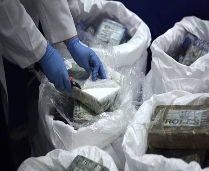 Mumbai Customs Intercepts ₹39 Cr Cannabis Shipment