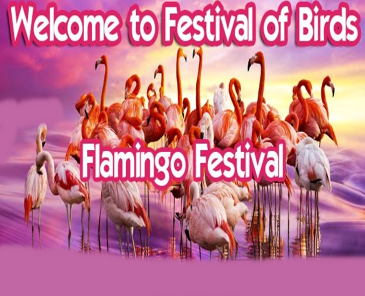 Flamingo Festival To Be Held Soon At AP’s Sullurpet