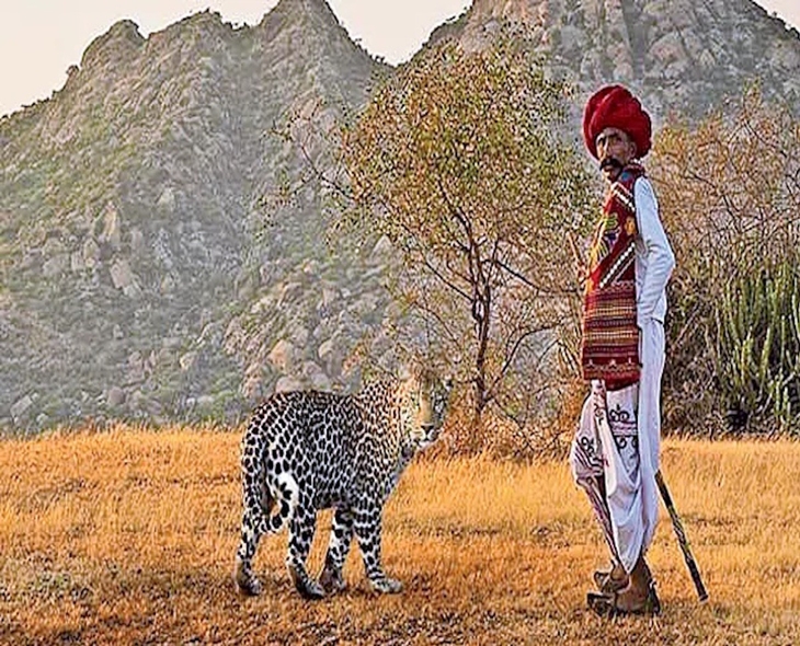 Rajasthan Village Lives Safely Among Wild Leopards