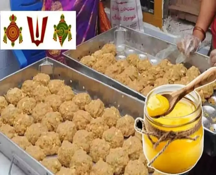 AP SIT Probe In TTD Laddu Ghee Case Enters Final Stage