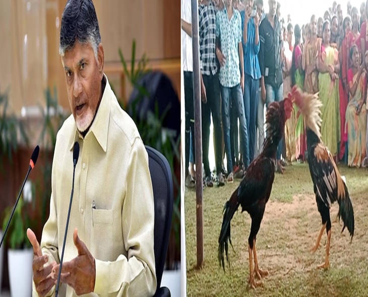 CM Chandrababu Urges Gambling-Free Sankranti Celebrations