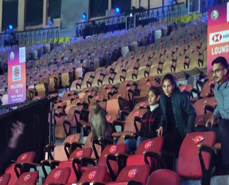 Monkey Spotted During Day 2 Of India Open Action