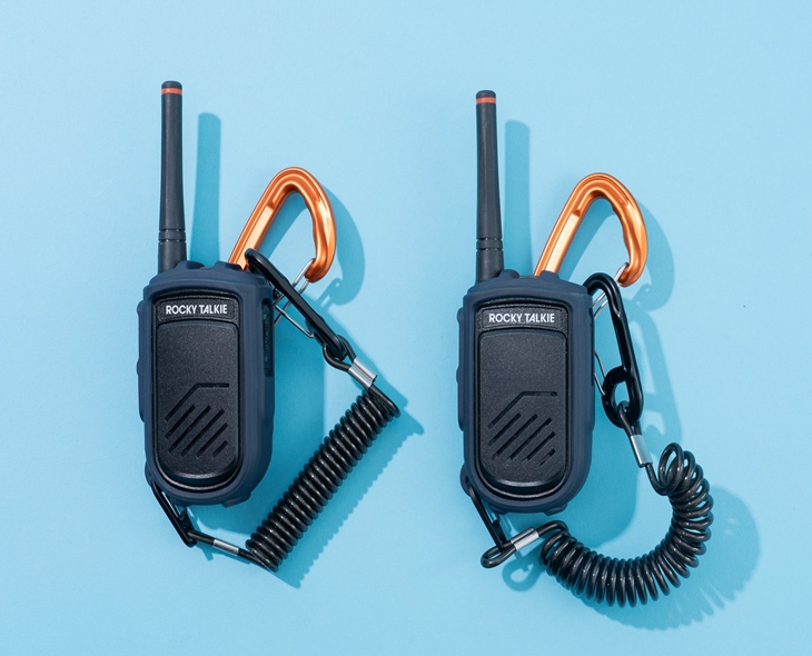 Illegal Walkie-Talkie Sales: 13 Sites Penalized ₹10 Lakh