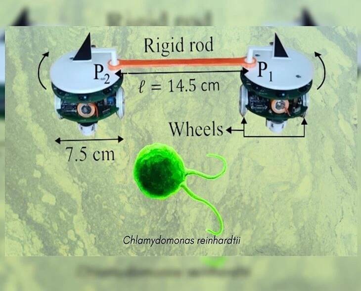 Scientists Study Bacteria Movement Using Nano-Robots