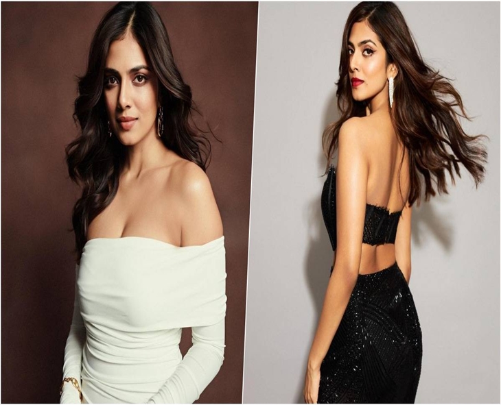 Malavika Faces Backlash For Comments On Tamil, Telugu Actresses
