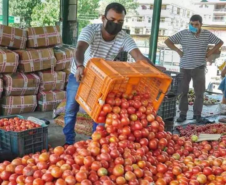 Tomato Prices Hit Record Low In Telugu States
