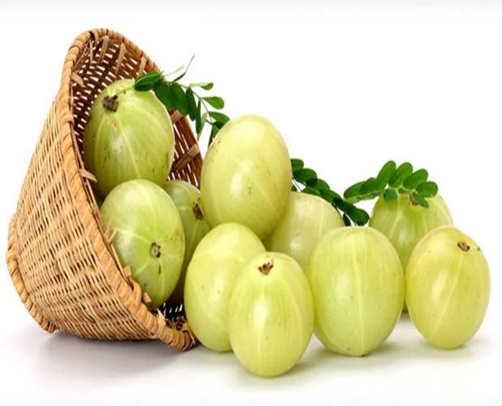 Amla Benefits: How Eating One Amla Daily Strengthens Your Body