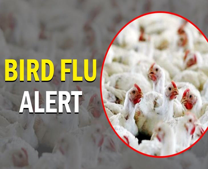 Bird Flu Cases Rise Across 4 Nepal Districts