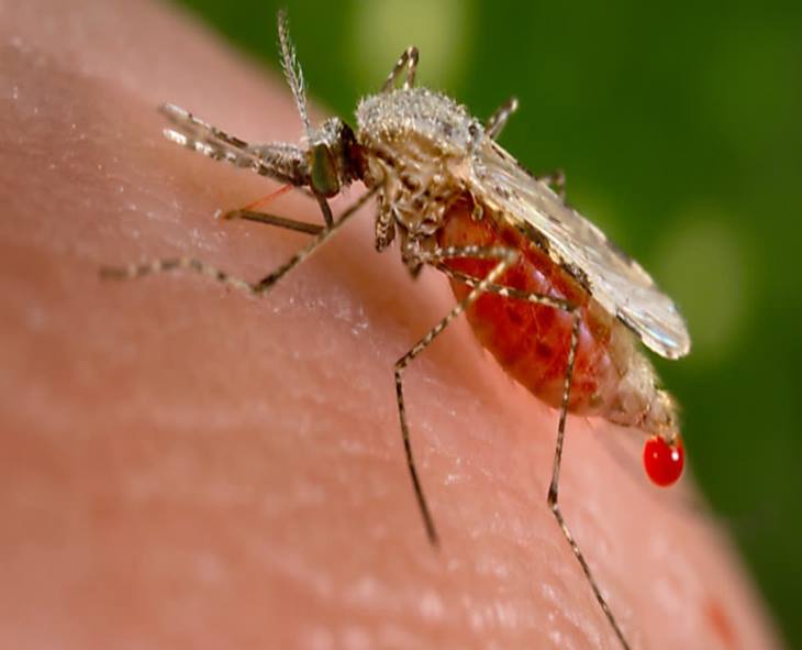 Why Some People Get More Mosquito Bites