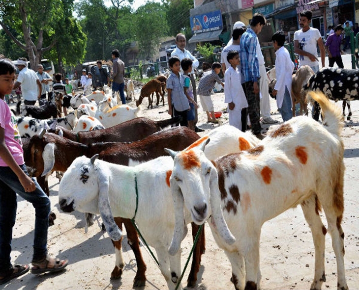 Hyd Police Warn Gau Rakshaks Ahead Of Bakrid To Maintain Law And Order