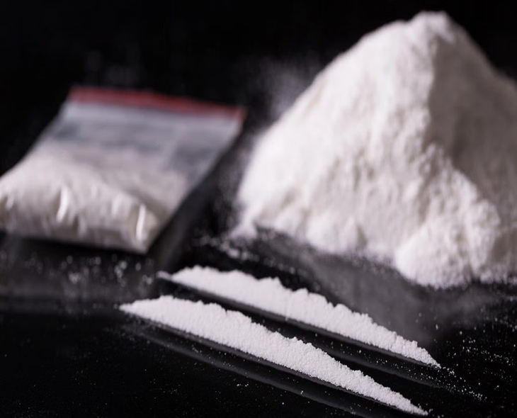 Kerala Drug Raid: DRI Seizes 24 Kg Narcotics, Arrests 5