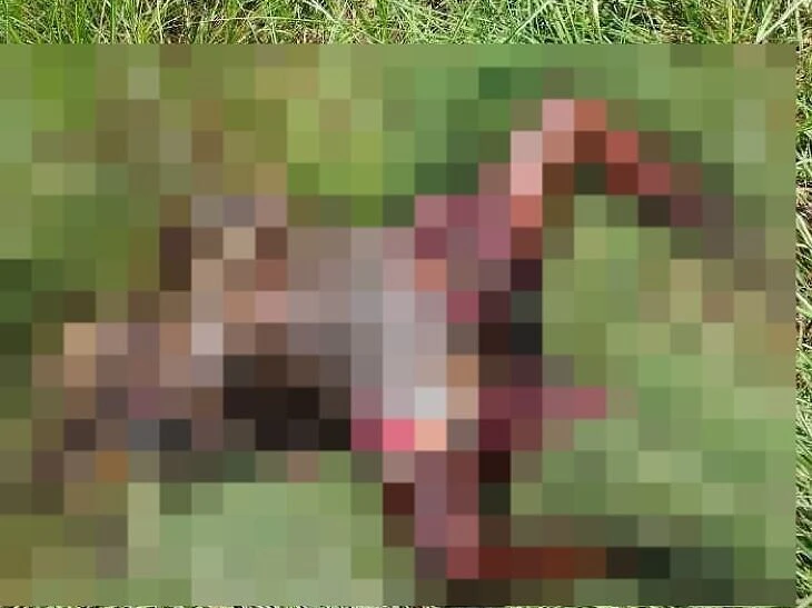 తురకలపూడిలో కుళ్లిన వృద్ధురాలి మృతదేహం