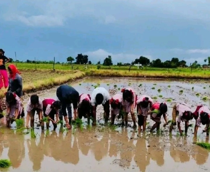 బడి బాటతో పాటు… పొలం బాట