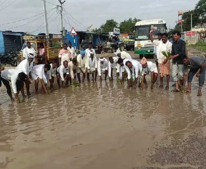 గుంతల్లో వరి నాట్లు