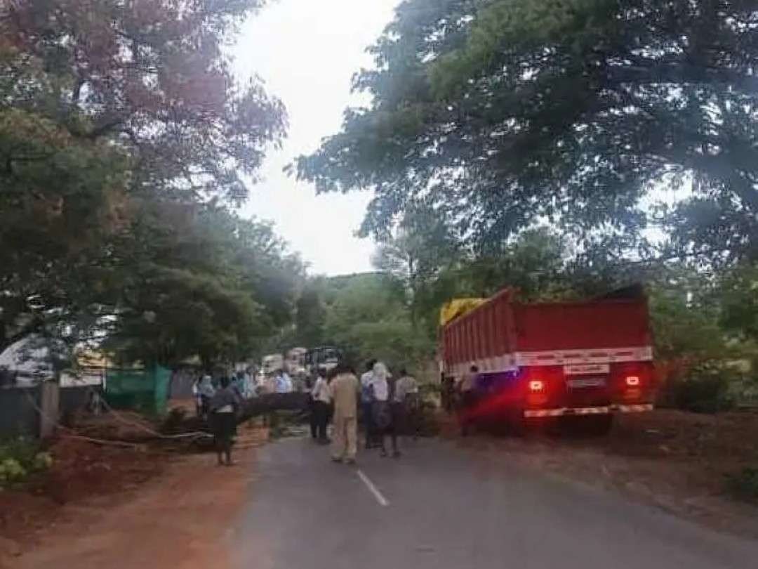 రోడ్డుపై పడిన వృక్షం రాకపోకలకు అంతరాయం