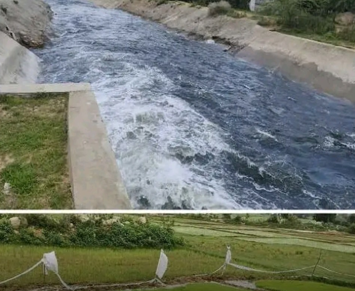 కేఎస్పీ నీటి విడుదలతో జోరందుకున్న వరినాట్లు