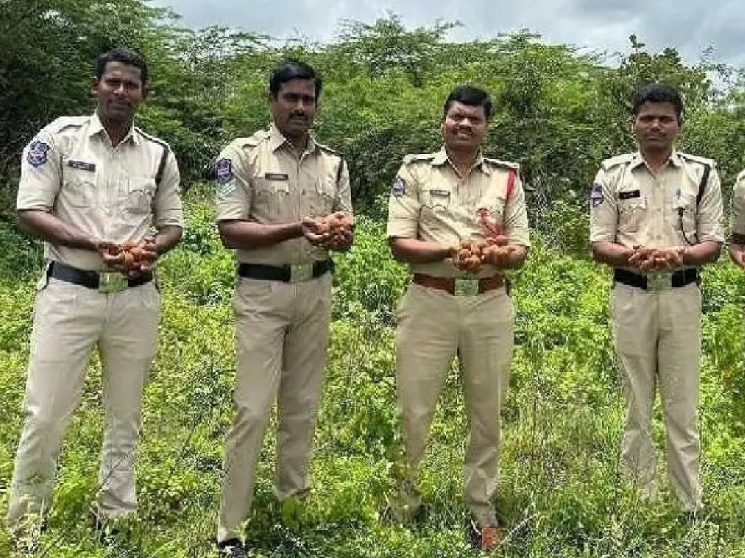 2000 సీడ్ బాల్స్ చ్లలాము : రాజ్ కుమార్
