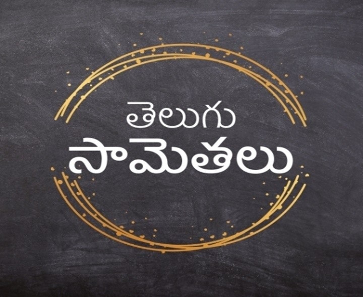 సామెత- దాని అర్థం