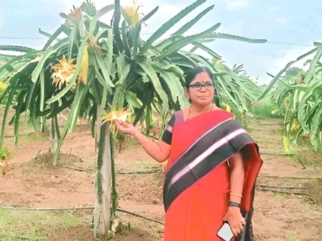 రైతులకు సబ్సిడీ పథకాలు: ఎంపీడీవో