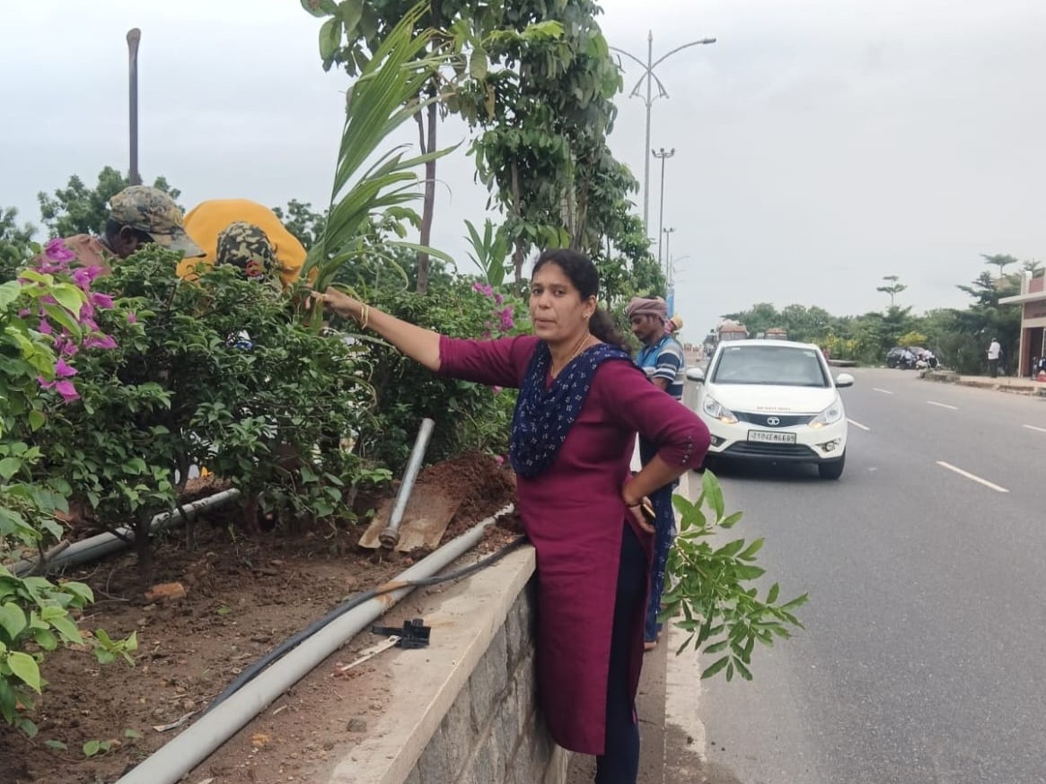 పచ్చదనం పెంపుపై ప్రత్యేక దృష్టి