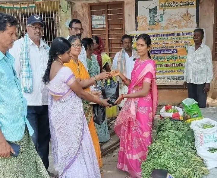 ప్రకృతి వ్యవసాయంతో పండించిన కూరగాయల విక్రయం