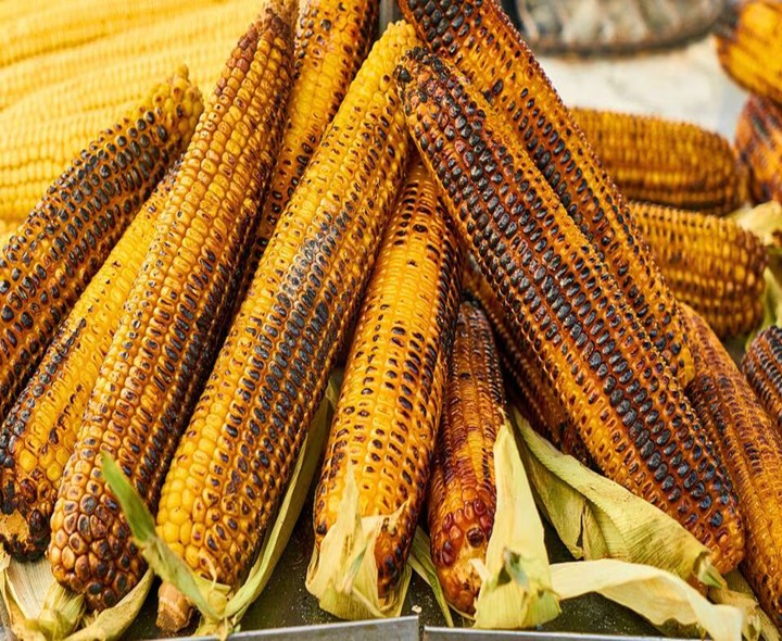 మొక్కజొన్న తింటున్నారా..?