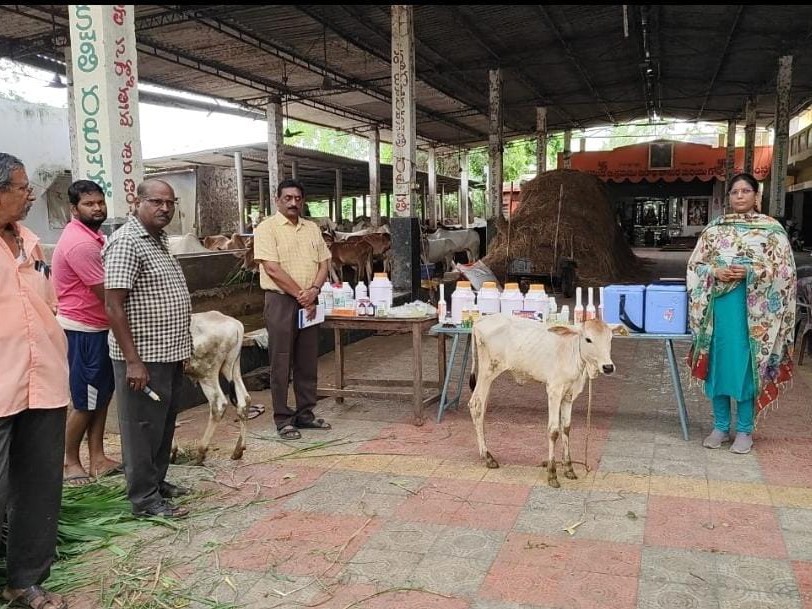 ‘గోశాలలో గోవులకు మెరుగైన వసతి కల్పించాలి’